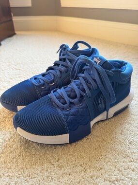 Men's Nike LeBron Witness VIII Basketball Shoes - worn on the court only